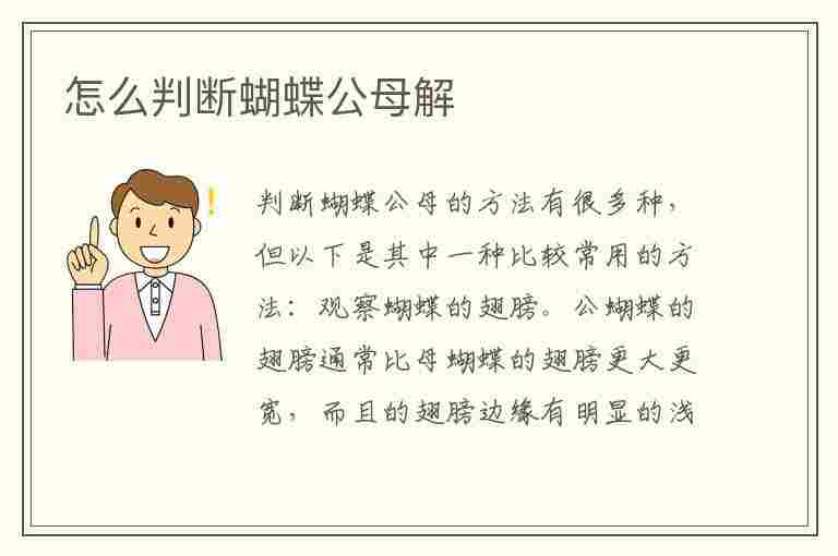 怎么判断蝴蝶公母解